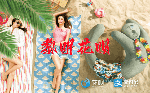 一拍即合，一试身手花呗